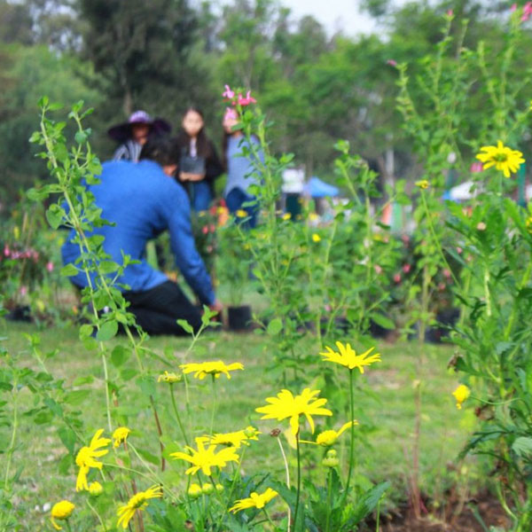 Free Template by uicookies.com